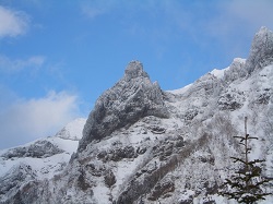 大同心（八ヶ岳）