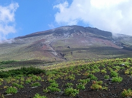 （富士山）お中道