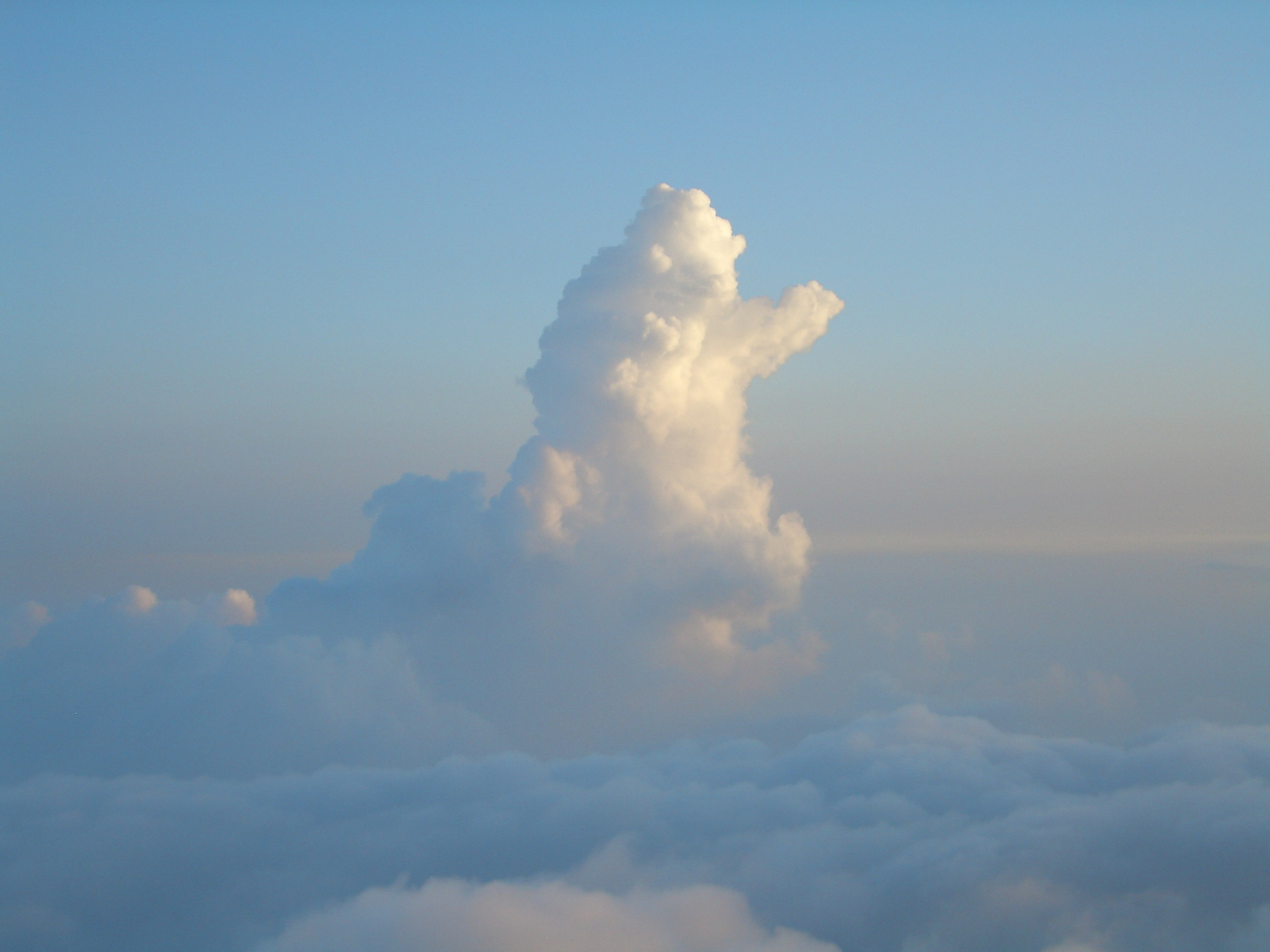 雲海の怪獣（富士山五合目にて）