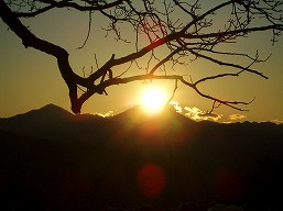 高尾山