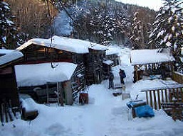 甲武信岳の山小屋